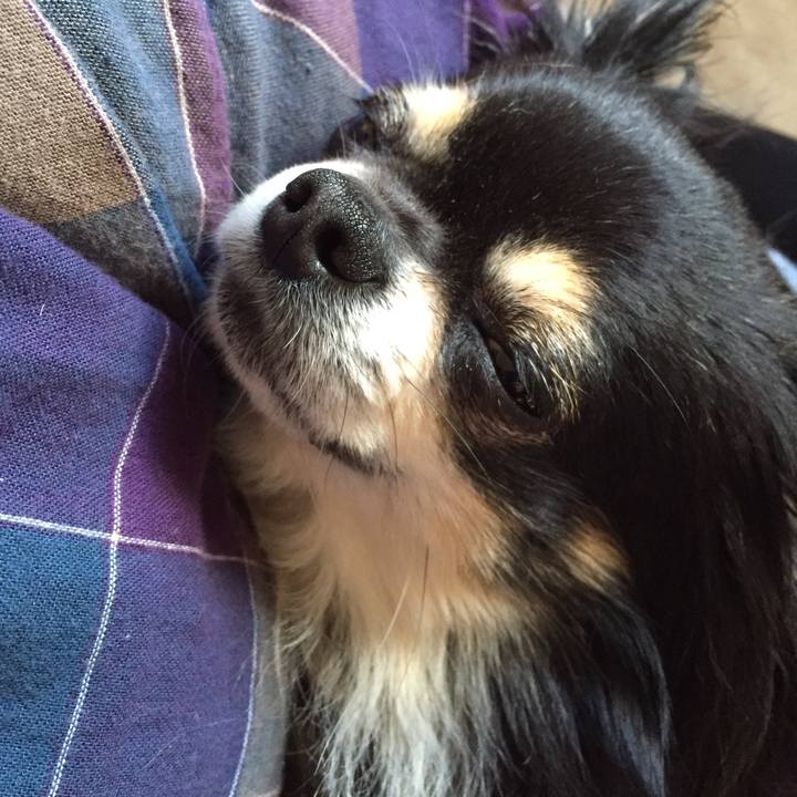 1807416e e301 482c b091 d6870d5174b9