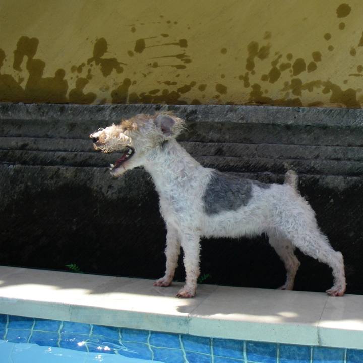 18075916 5493 41e1 8e6b 0ef52a801d99