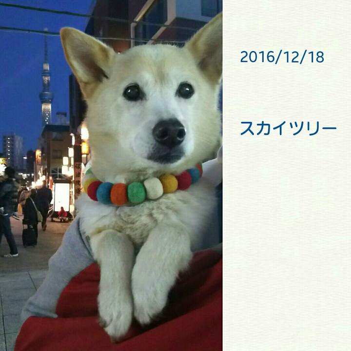 18079212 3588 4a44 bd9d c8ba4af1a01d