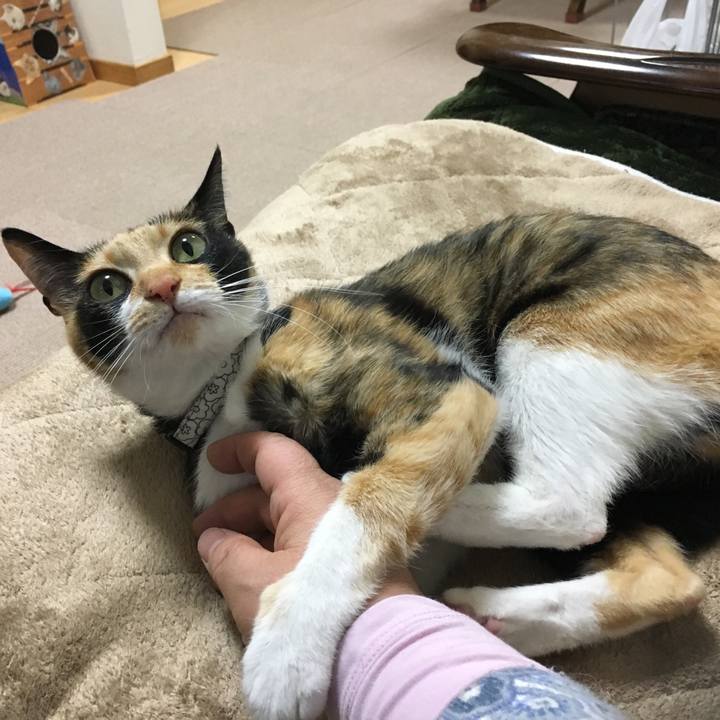 1807cd80 641a 42c6 b012 4b7c4e257a7f