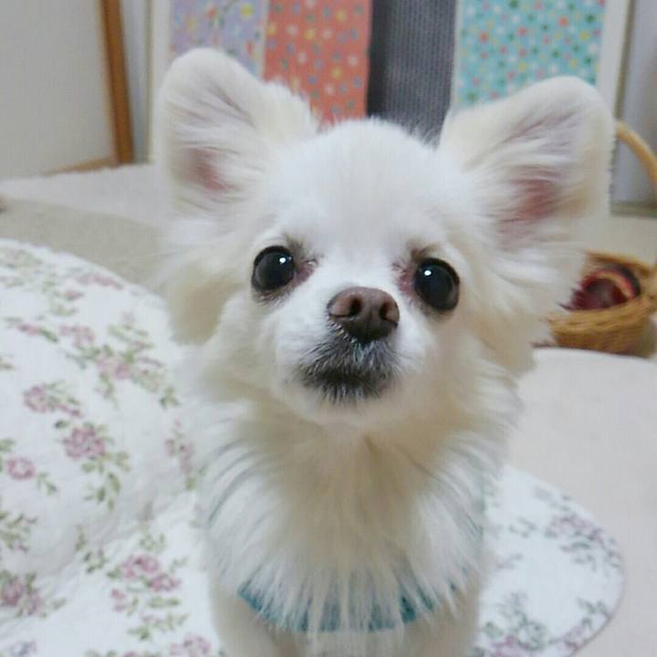 18084196 ddb1 4996 a580 4102d7e73316