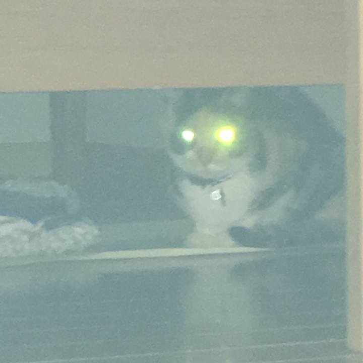 18087c91 f964 459f a6c9 531ef2f54bf2