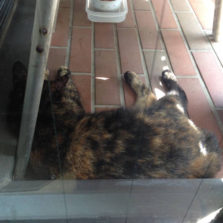 1808d75a b1ff 4ae8 bb82 d879201e5d27