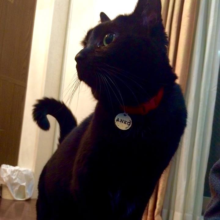 1808efec 1e37 44d7 a52e 10e4264fce09