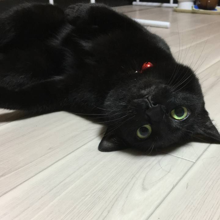 180949b8 7c28 400b bc1f 0bcfaf97b8fe