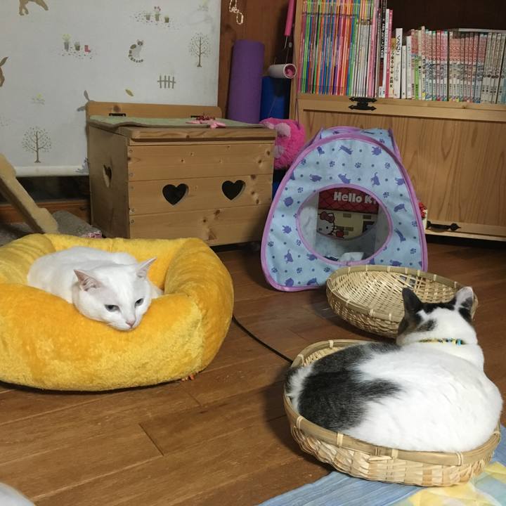 180955fc 258c 4726 a659 e60ac3be2640