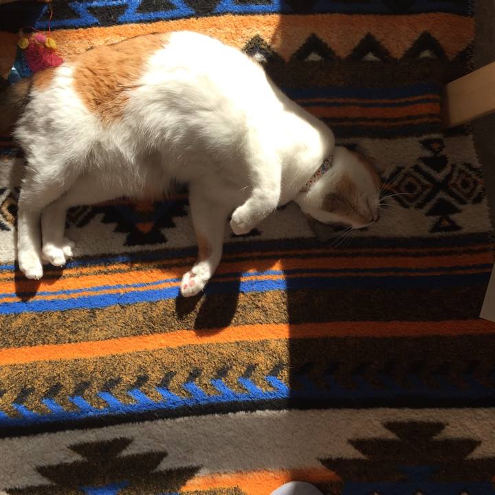 180a7b99 2591 44ac a35e b9b653ff092d