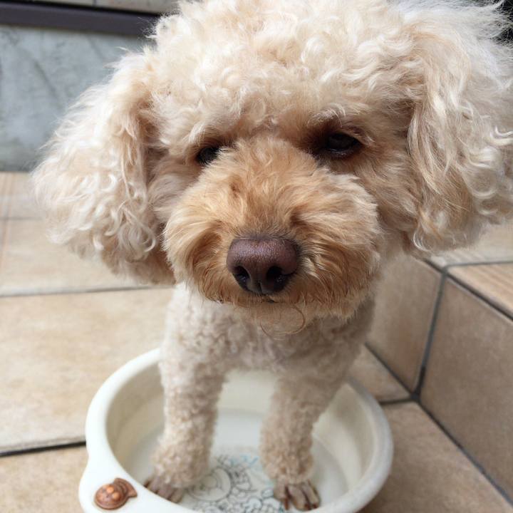 180b02a8 5f0c 427d 9f51 72995850ede6