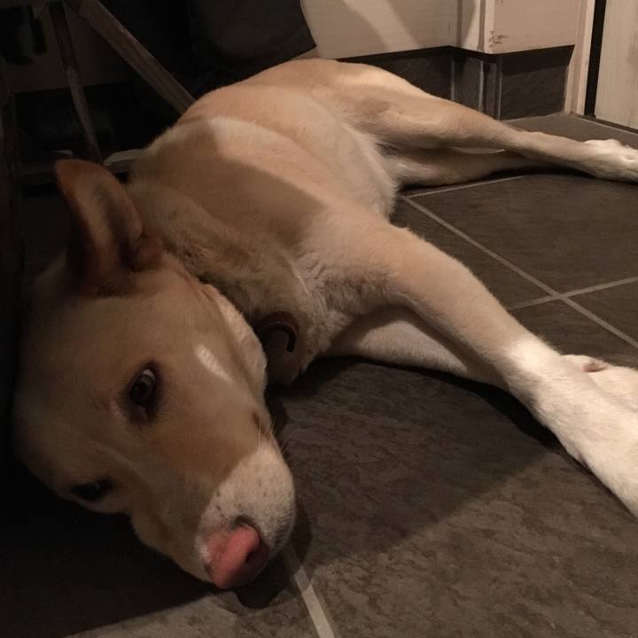 180b409b 0e6d 419f a9c0 754705899a8b