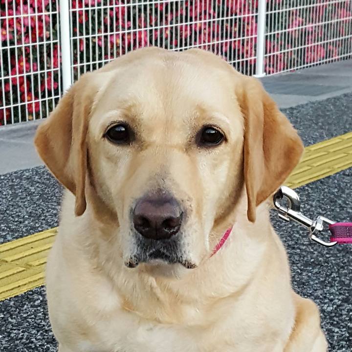 180b6e92 e6d1 4f36 b394 9be807a0b161