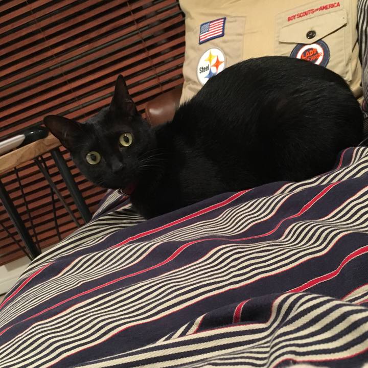 180c3faa f48a 4655 a446 4573449bb52d