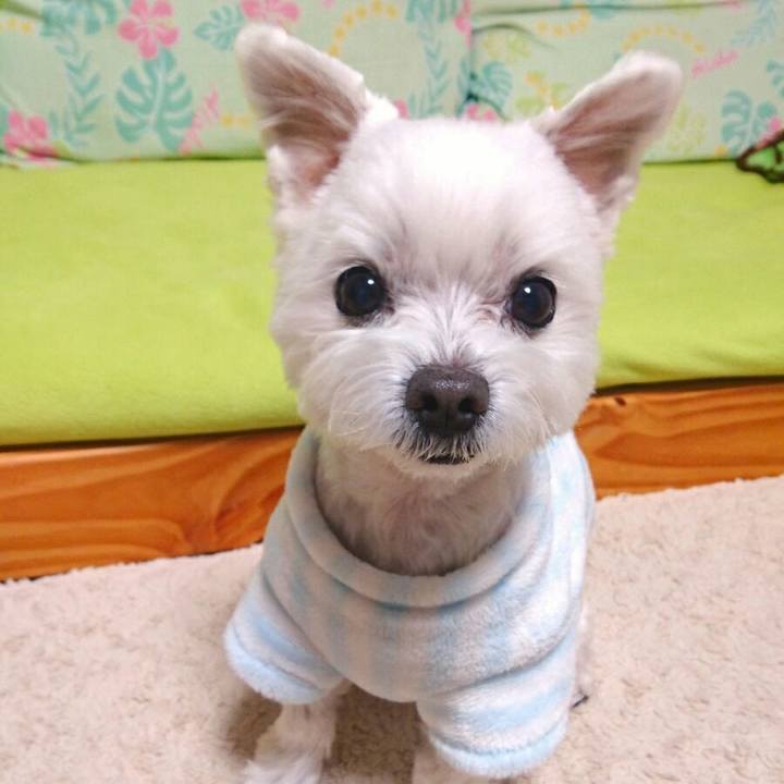 180c58de 6b2c 43e6 878d ca47518a07b1