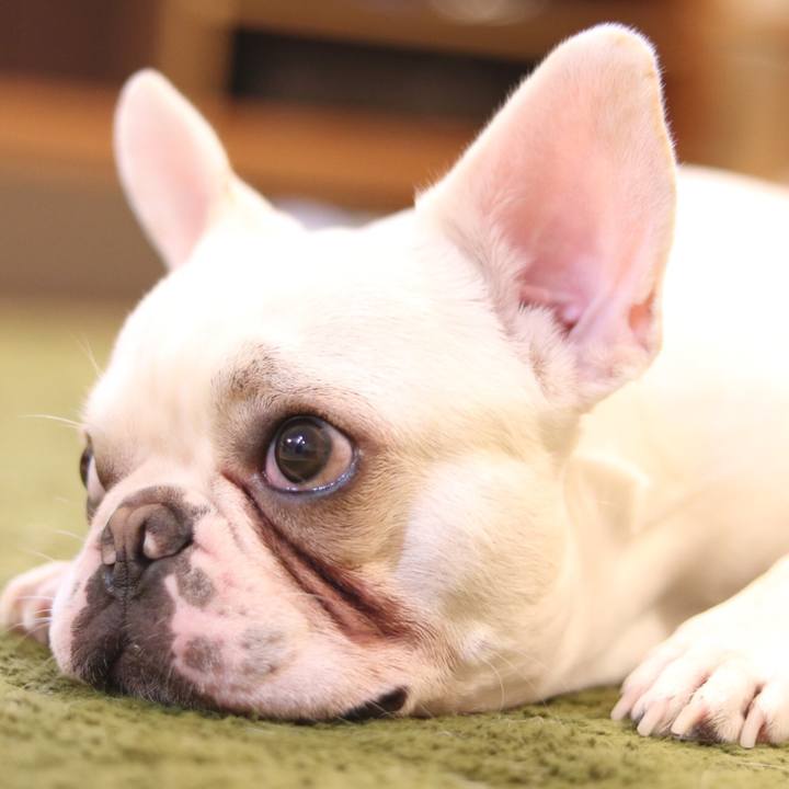 180c6f62 dc74 48c4 9249 56203e755023