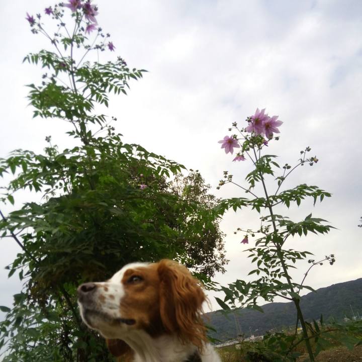 180c7b2d 6443 4790 b293 d62d1467fb5b