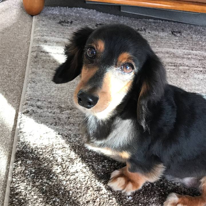 180cb690 6981 4db5 9f84 914d20a3b905