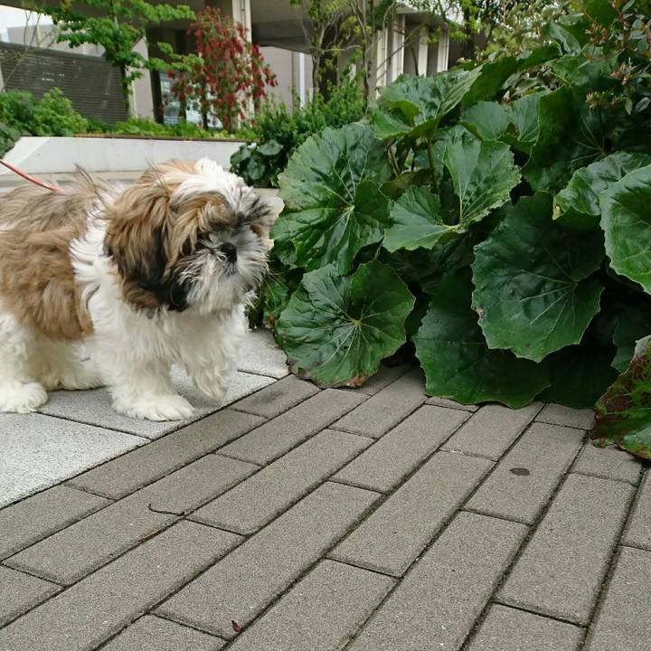 180d2d29 e873 4101 8125 8a08d0d28361