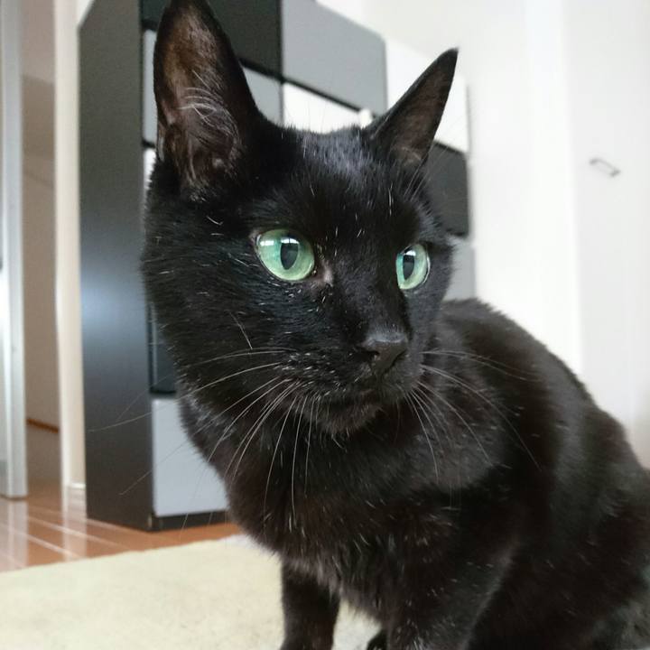 180da955 67df 4571 82ae 8439ab4eda3f