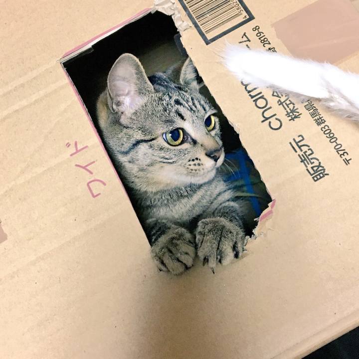 180dd131 c8fc 4d0e b909 0ba1769c7f41