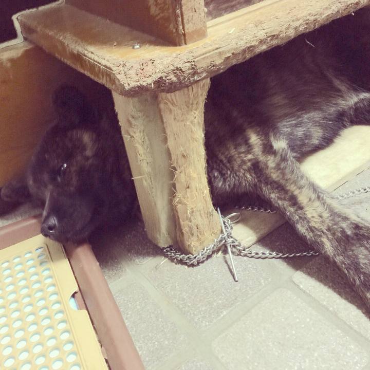 180e1890 a6b1 48b0 a499 3a8fa7745cf8