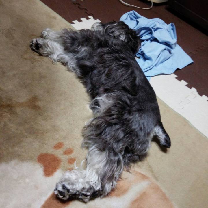 180e4f66 16b4 4d5e 894b 5def3de9d6bf