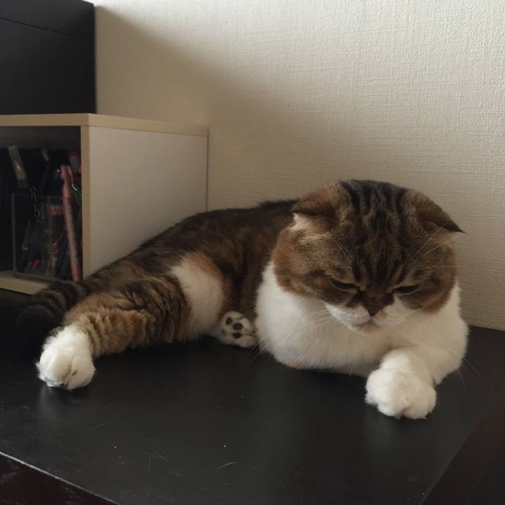 180ea655 cf74 4608 8c9d e49186eae4a7