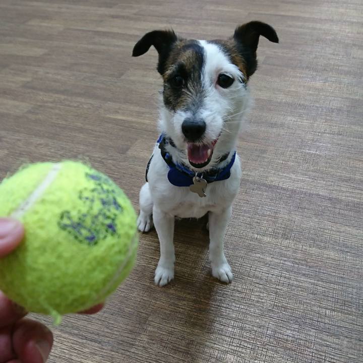 180f31b9 edb2 42ae adb7 967cab98b7ed