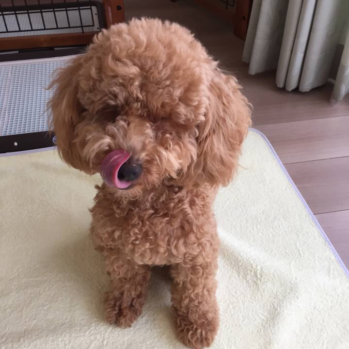 180fd29f cfec 494e b07b 5651f6b5a370