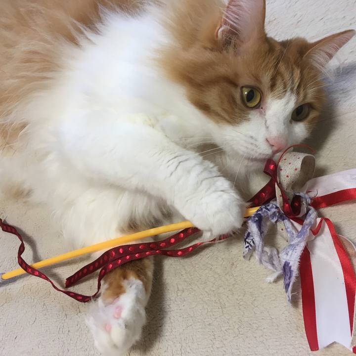 181057b9 9d97 42b1 b43a ef224d1a4a44