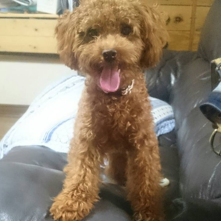 1810b414 b277 4854 bbb9 ab85463a3c88