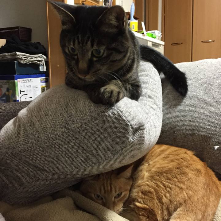 1810c02b e87c 4bb1 97f1 63f85199cc8b