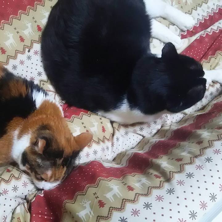 181107f8 1555 4d78 9755 8389649fa6ab