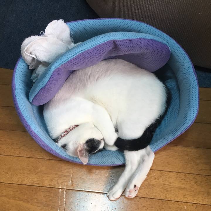 1811a9a9 0f84 4f96 9615 3eab6ec9a8c7