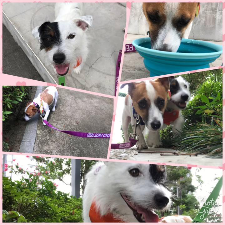 1811f8c1 f822 4d00 be72 0bf08cb30ec5