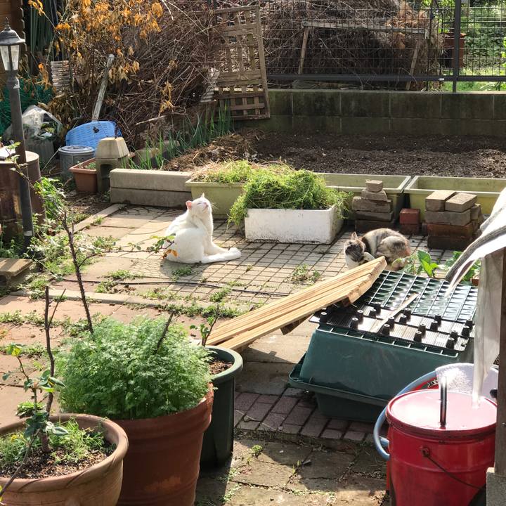 18155ec1 c631 46a8 b655 2e20e1ebfccb