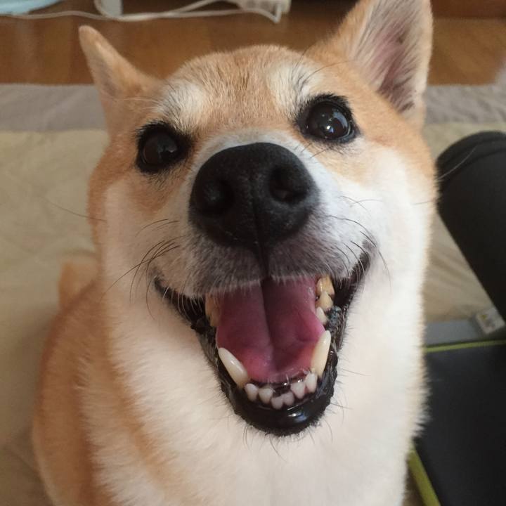 1816a5b6 6c00 4211 b0fa 2f53d255de86