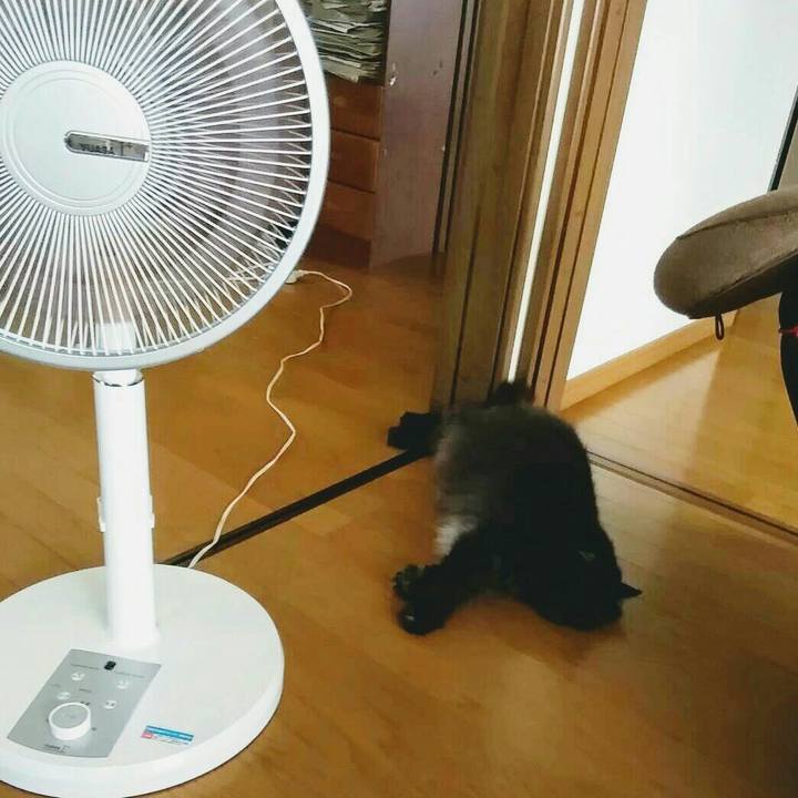 1817031c c6f8 4e83 87c0 e2a2809a4e3c