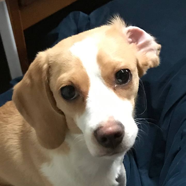 18173c4b 1b9c 4dcc b3ef 3eda9b9388c6