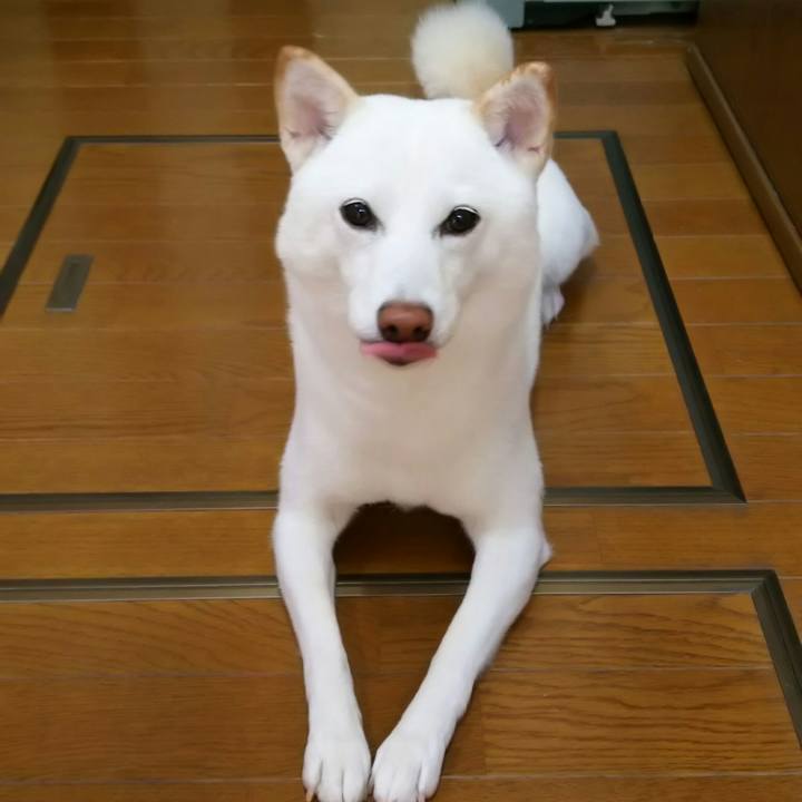 181744b2 df48 41c7 b783 751a98c0438e