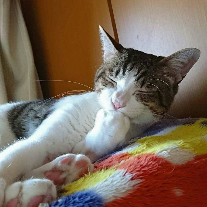 18178a1e 27f7 4196 b573 52256195c934