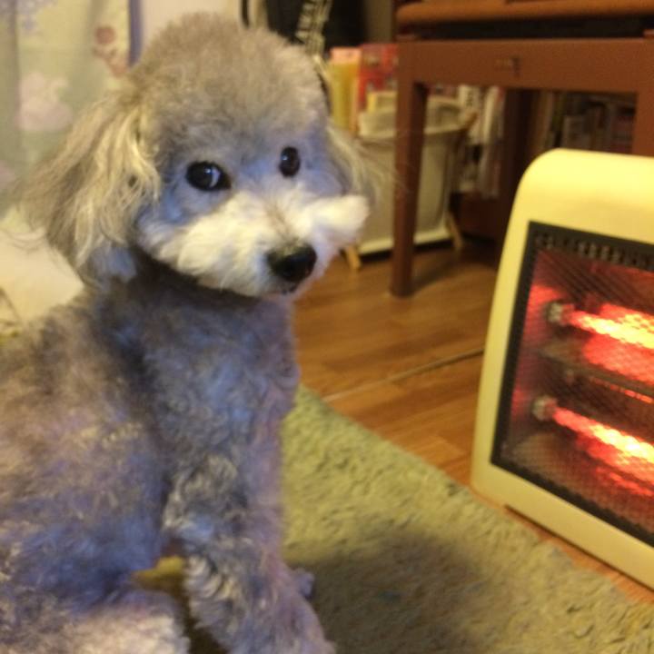 1817951f 080a 4ae2 82b3 fa27a369f8a0