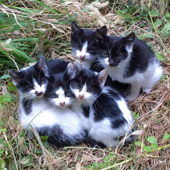 18179c1f 1e2f 4afd 9c1c d76dd868de97