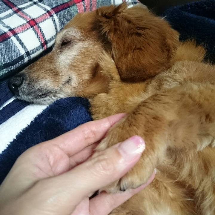 1817bcba c50a 4391 b0b2 7fc7c36b564c