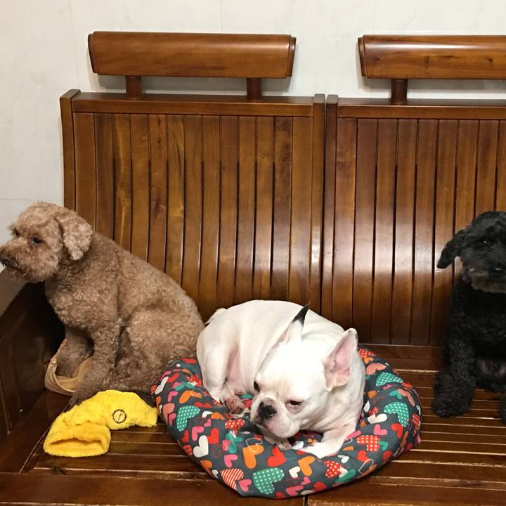 1817fa59 3efa 407d af6b b51169ada150