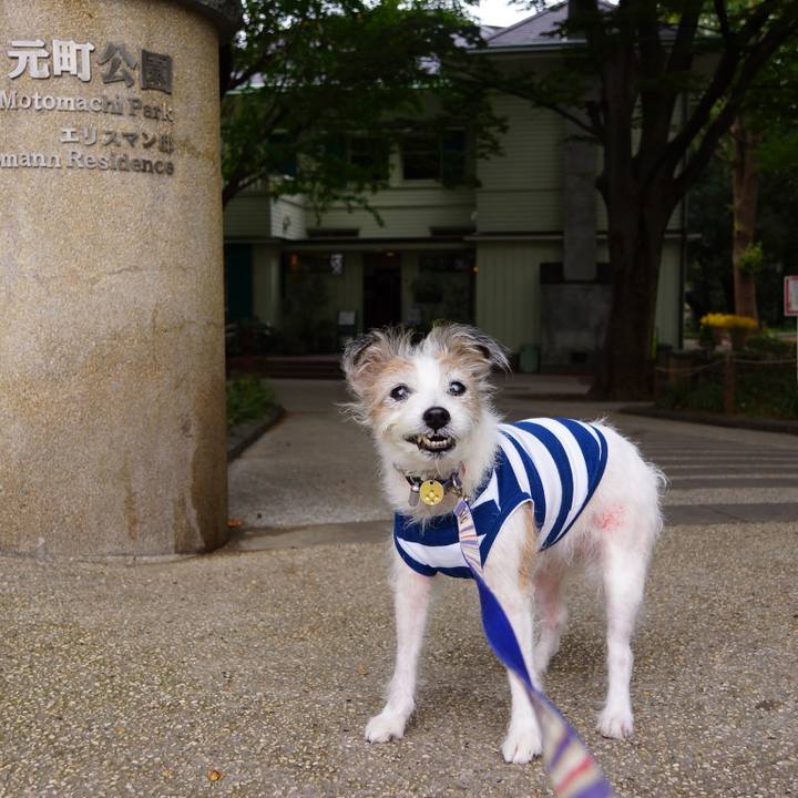 18186240 3a50 4865 a2db 9df676a24885