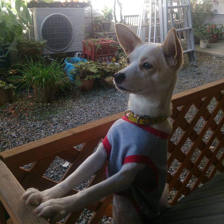 18188dcb 1d7b 4e30 835e 348252c21533