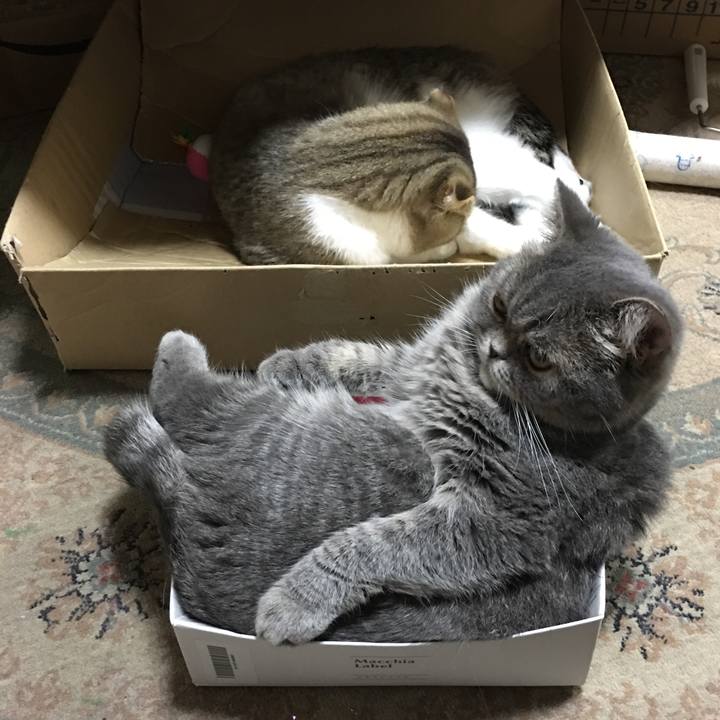 1818a846 da4a 4aae a3dc ff516d0714b5