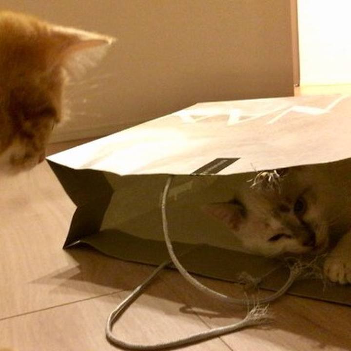 18195cfa bb0a 4c5c 8c84 4896993d6d7d