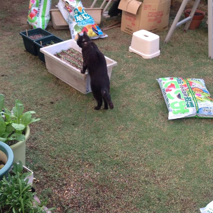 181ab863 2df6 4edb 98a8 f23a01292ab8