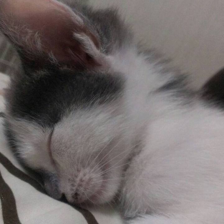 181c2cb7 ce2f 489c 91af 44425f9d5384