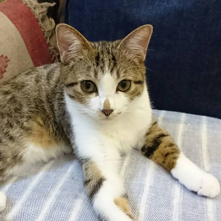 181c469a 08eb 4fe3 a520 6993f6d428f7